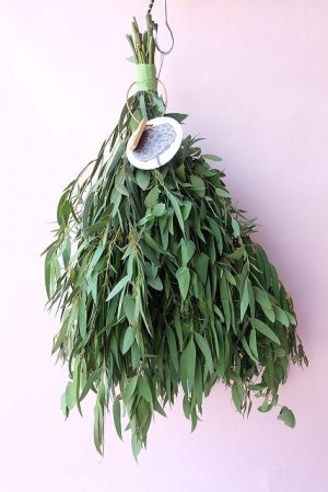 画像1: Dry plants for decor ユーカリパルブラシンプルスワッグ