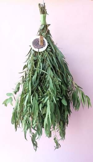 画像1: Dry plants for decor ユーカリパルブラシンプルスワッグ