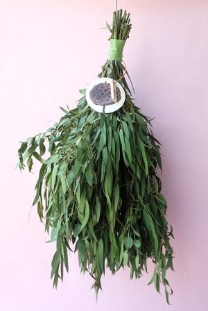 画像1: Dry plants for decor ユーカリパルブラシンプルスワッグ