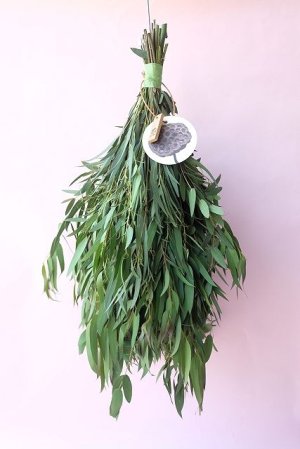 画像1: Dry plants for decor ユーカリパルブラシンプルスワッグ