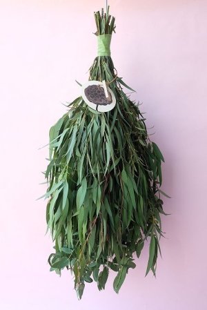 画像1: Dry plants for decor ユーカリパルブラシンプルスワッグ