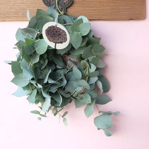 画像1: Dry plants for decor ユーカリブルーガムリース