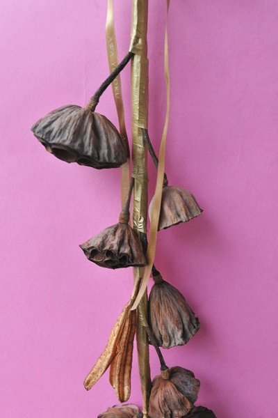 画像2: Dry plants for decor ミックスブーケ【lotus ＆lily bouquet】（壁掛け）