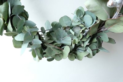 画像3: Dry plants for decor ユーカリリース（銀丸葉＋テトラゴナシルバー）