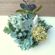 画像1: Dry plants for decor ユーカリリース（銀丸葉＋テトラゴナシルバー＋ドライアジサイ） (1)