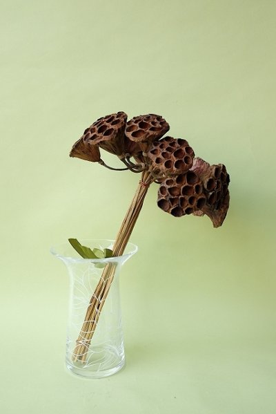 画像1: Dry plants for decor デコール用乾燥花托（蓮）サークルブーケ