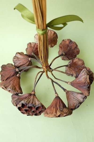 画像2: Dry plants for decor デコール用乾燥花托（蓮）サークルブーケ