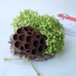 画像2: Dry plants for decor ドライアジサイミニオブジェ（壁掛け可） (2)