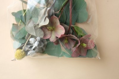 画像1: Dry plants for decor ドライプランツミニアソート（壁掛けタイプ）