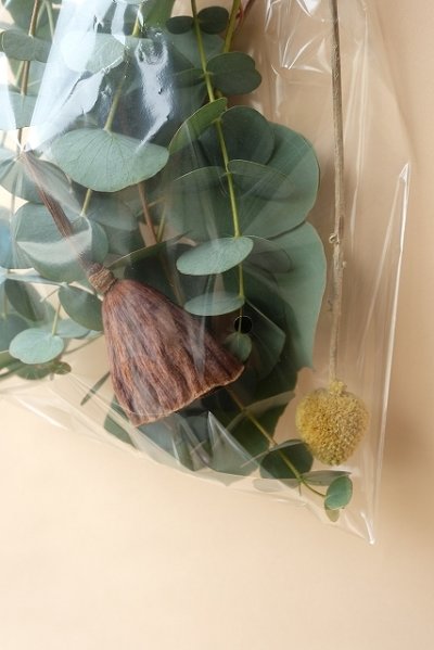 画像3: Dry plants for decor ドライプランツミニアソート（壁掛けタイプ）