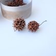 画像2: Dry plants for decor デコール用乾燥モミジバフウ（3個入） (2)